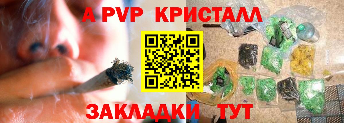 Альфа ПВП СК КРИС Каспийск