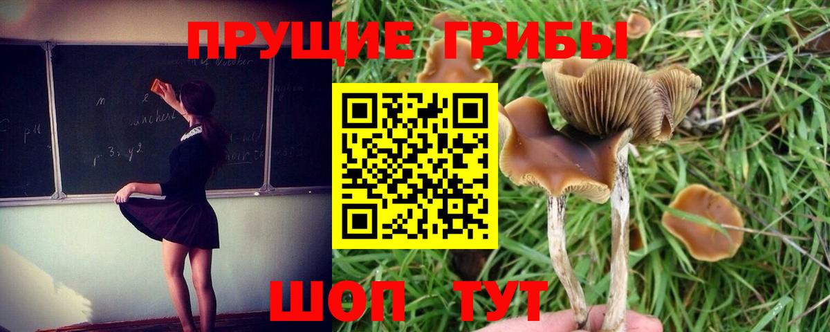 Каспийск  Галлюциногенные грибы ЛСД  Вход с VPN 