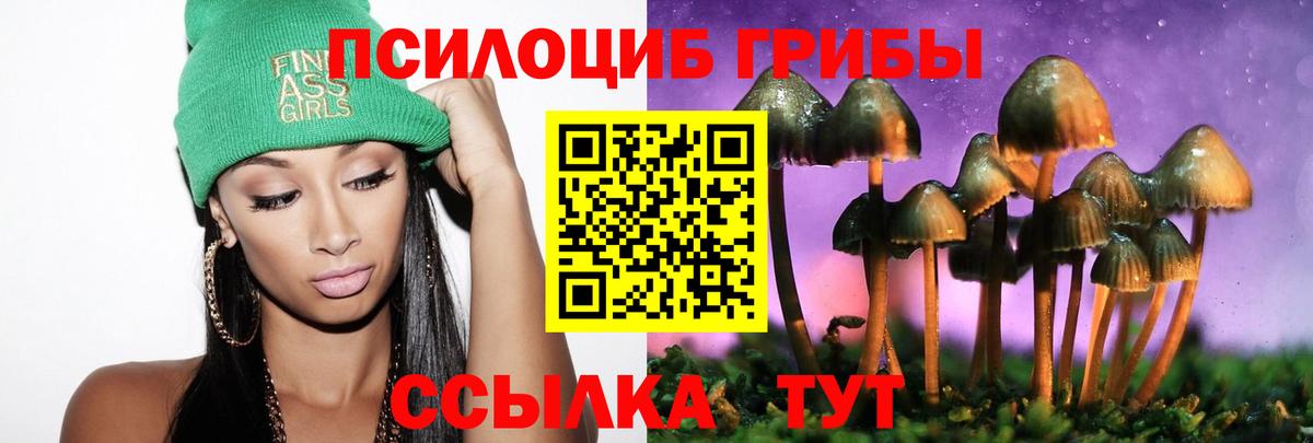 Галлюциногенные грибы Magic Shrooms Каспийск